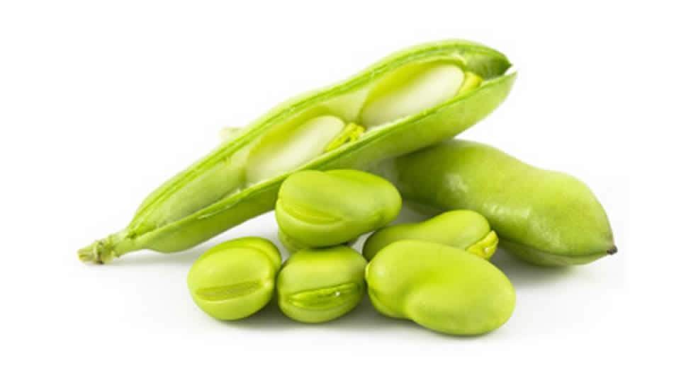 Broad Beans (Large Green)