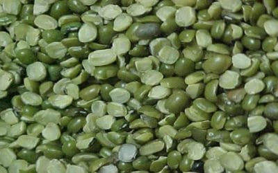 Green Mung Beans – Splits (with skin on)