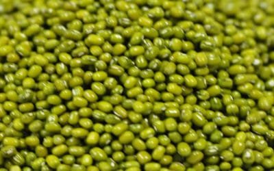 Green Mung Beans – Whole