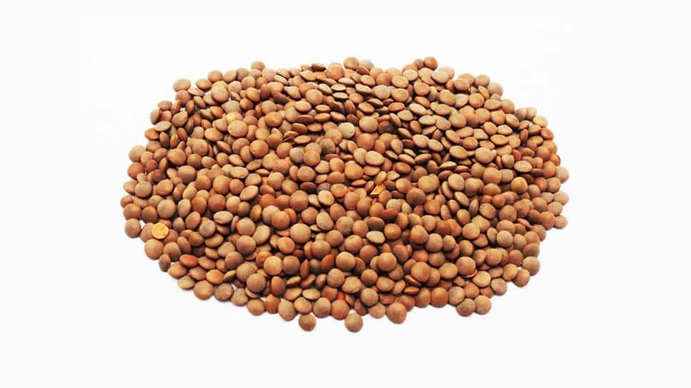 lentils_whole