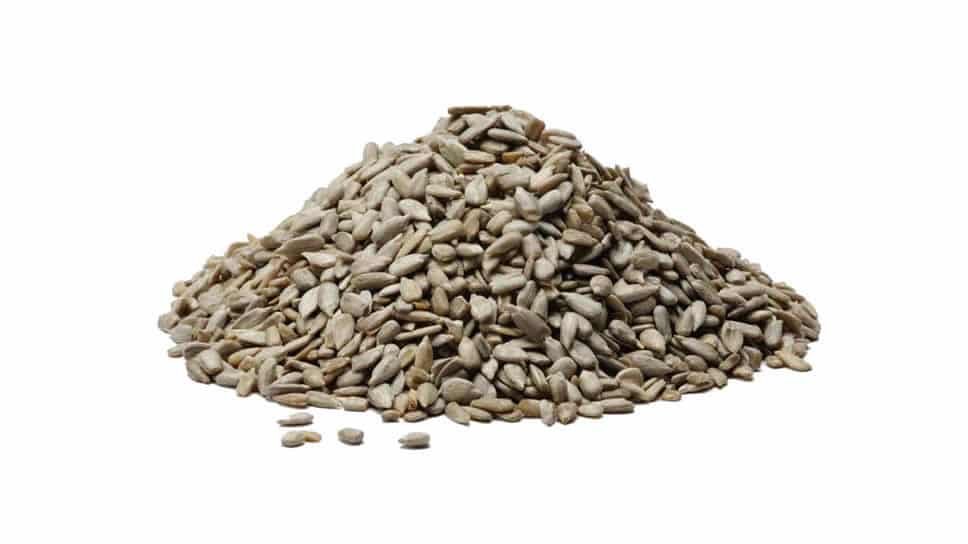 sunflower seeds